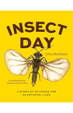 Insect Day: A Story of 24 Hours and 24 Hexapod Lives - Erica Mcalister