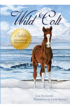 Wild Colt