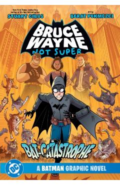Bruce Wayne: Not Super: The Bat-Catastrophe - Stuart|pekmezci Gibbs