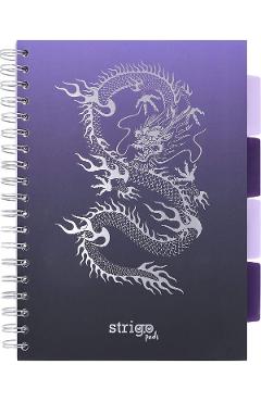 Caiet matematica cu spirala si separatoare: Dragon