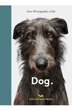 New Photography of the Dog - Jilke Golbach
