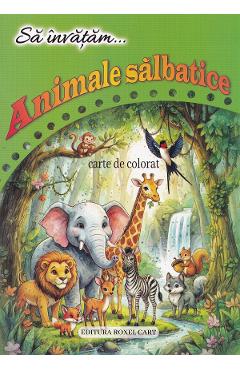 Sa invatam animale salbatice. Carte de colorat - Dana Popescu