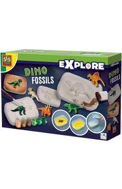 Set Explore: Fosile de dinozaur