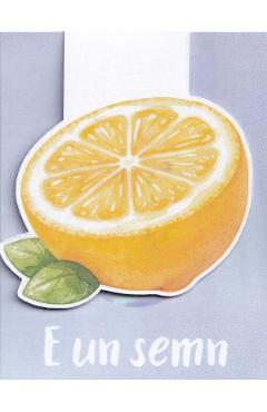 Semn de carte magnetic: Lamaie