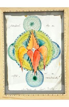 Ilustratie inramata. Model 5: Adevarul