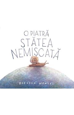 O piatra statea nemiscata - Brendan Wenzel