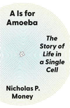 Is for Amoeba - Nicholas P. Money - Imagine 1