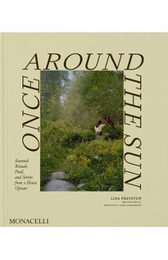 Once Around the Sun - Lisa Przystup