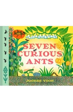 Seven Curious Ants - Joohee Yoon - Imagine 1