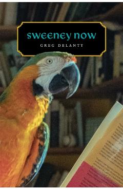 Sweeney Now - Greg Delanty