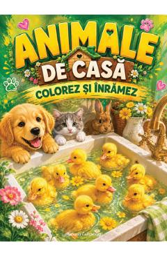 Animale de casa. Colorez si inramez