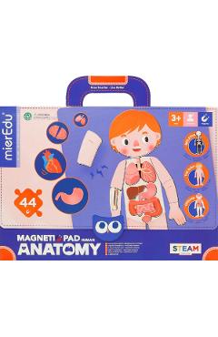 Joc magnetic STEAM: Anatomia umana