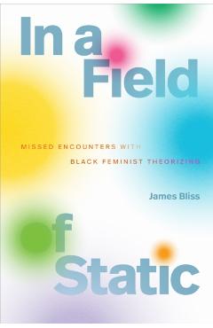 In a Field of Static: Missed Encounters with Black Feminist Theorizing - James Bliss