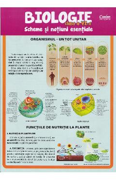 Biologie - Clasa 6 - Scheme si notiuni esentale - Silvia Olteanu, Camelia Manea, Iuliana Tanur