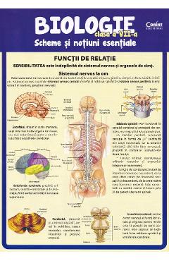 Biologie - Clasa 7 - Scheme si notiuni esentiale - Silvia Olteanu, Camelia Manea, Iuliana Tanur