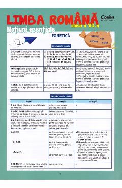 Limba romana - Clasa 6 - Notiuni esentiale