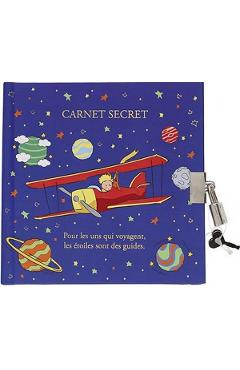 Jurnal. Le petit prince: Planetas