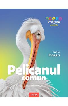 Pelicanul comun. Enciclopedie pentru copii - Tudor Cozari