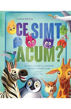 Ce simt acum? - Chiara Piroddi