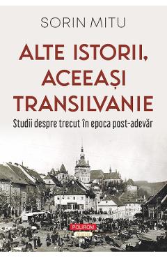 Alte istorii, aceeasi Transilvanie - Sorin Mitu