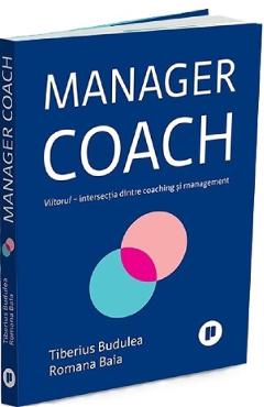 Manager coach – Tiberius Budulea, Romana Baia
