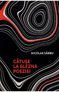 Catuse la glezna poeziei - Nicolae Sarbu