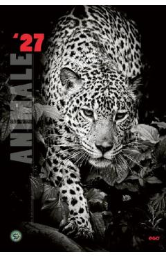 Calendar perete 2027. Animale