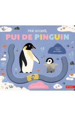 Hai acasa, pui de pinguin - Carolina Buzio