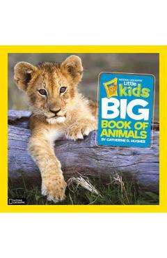 Little Kids First Big Book of Animals