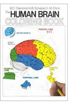 Human Brain Coloring Book