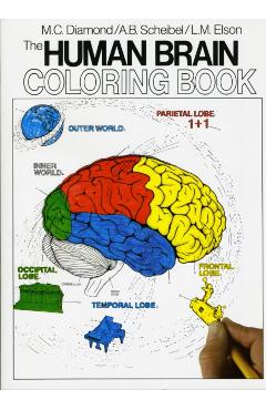 Human Brain Coloring Book