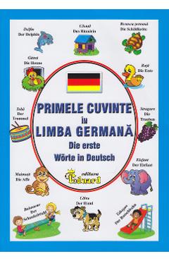 Primele cuvinte in limba germana - Die erste worte in Deutsch