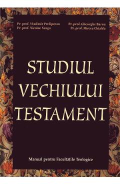 Studiul Vechiului Testament - Vladimir Prelipcean, Nicolae Neaga, Gheorghe Barna, Mircea Chialda - RENASTEREA