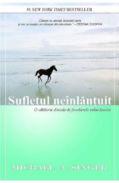 Sufletul neinlantuit - Michael A. Singer