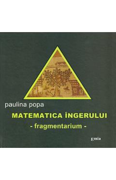 Matematica ingerului