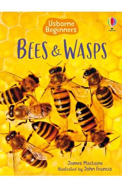 Bees & Wasps