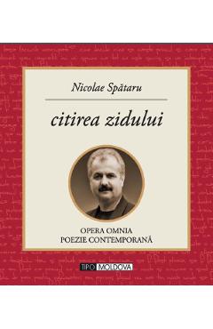 Citirea zidului - Nicolae Spataru