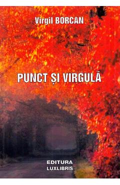 Punct si virgula - Virgil Borcan