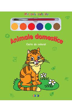 Animale domestice – Miracolul culorilor – Carte de colorat Animale