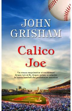 Calico Joe - John Grisham