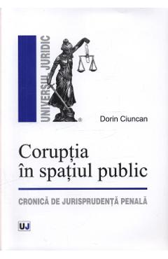 Coruptia in spatiul public - Dorin Ciuncan