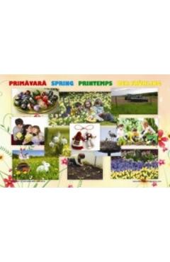 Set Planse Anotimpuri - -