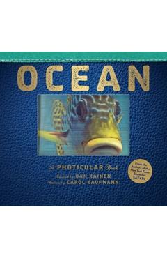 Ocean