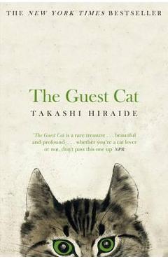 Guest Cat