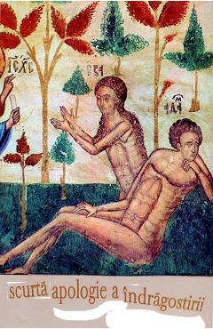 Scurta apologie a indragostirii - ILEANA