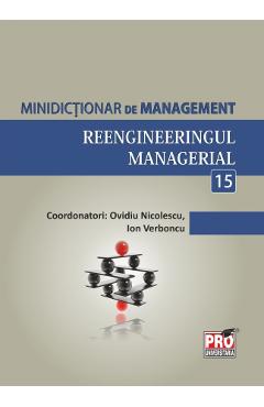 Minidictionar De Management 15: Reengineeringul Managerial - Ovidiu Nicolescu