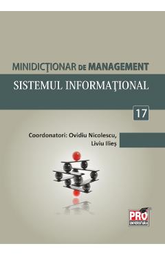 Minidictionar de management 17: Sistemul informational - Ovidiu Nicolescu