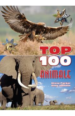 Top 100 Animale - Steva Parker, Jinny Johnson