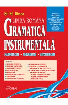 Gramatica instrumentala - St. M. Ilinca