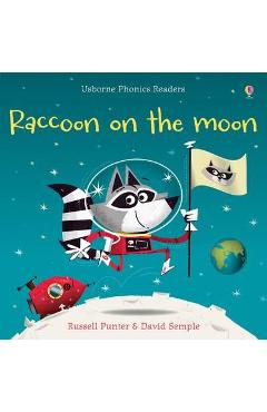 Raccoon on the Moon